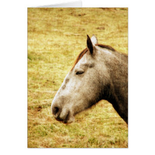 Cartão Gray Mare
