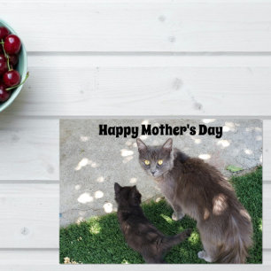Cartão Gray Mother Cat & Black Kitten Happy Mother's Day