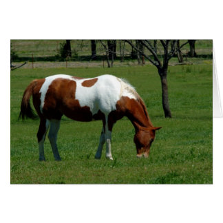Cartão Grazing Pinto