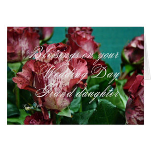 Cartão GRD-zz dos rosas WD 11 de Megan