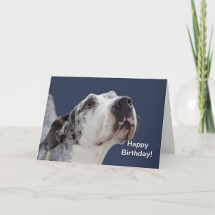 Cartão Great Dane Birthday Card