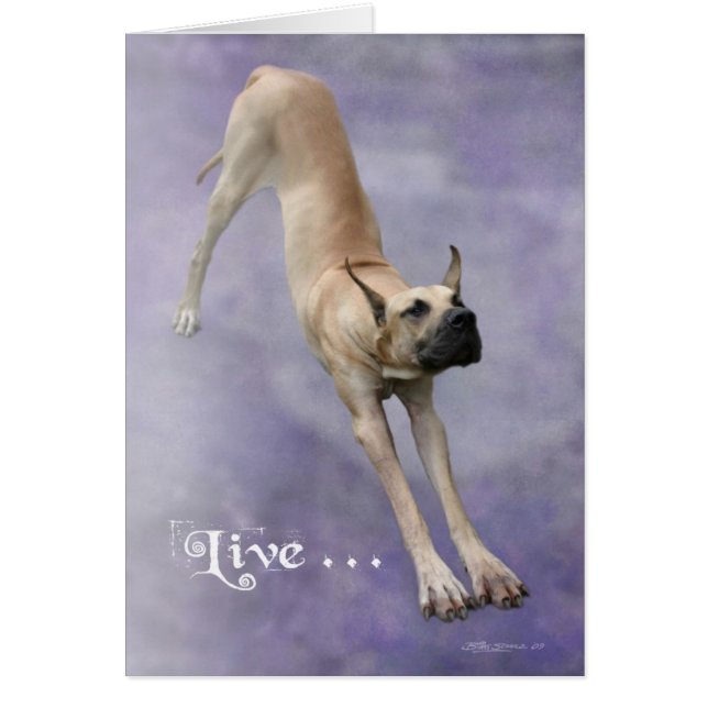 Cartão Great Dane 'Duke' (Frente)