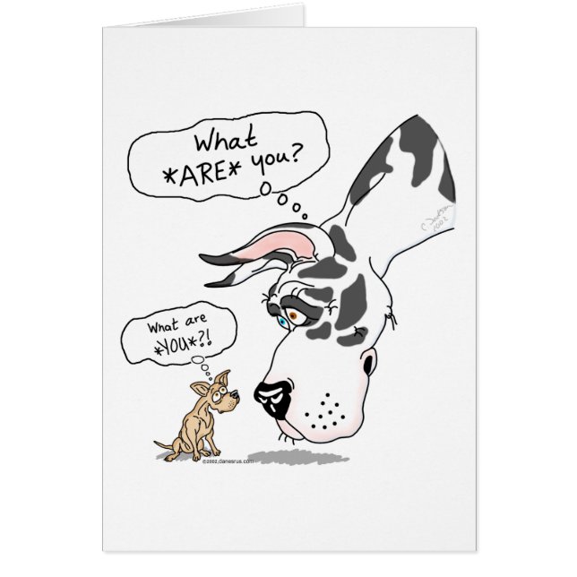 Cartão Great Dane e Chihuahua Harlequin (Frente)