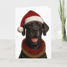 Great Dane in a Santa hat Christmas card