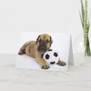 Cartão Great Dane Puppy with Soccer Ball