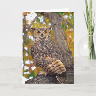 Cartão Great Horned Owl