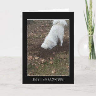 Cartão Great Pyrenees