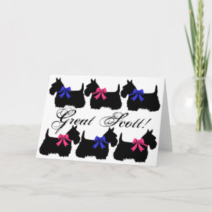 Cartão "Great Scott !", Scottish Terrier blank card