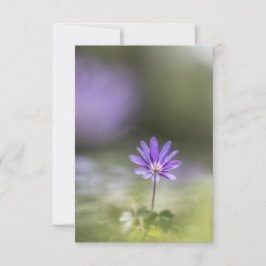 Cartão Grecian winflower Nature Foto