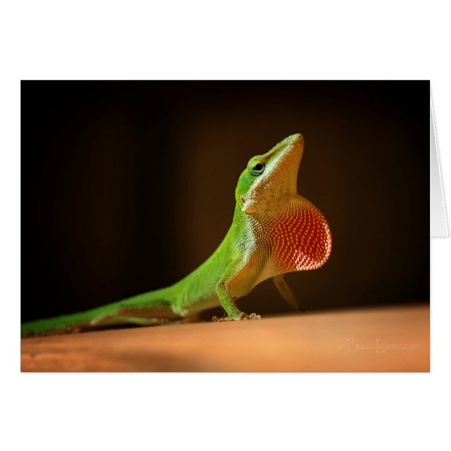 Cartão Green Anole Lizard com Thraot Vermelho (Frente horizontal)