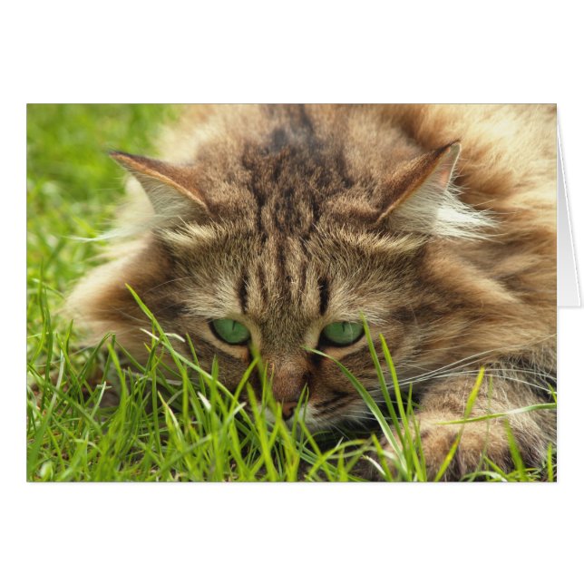 Cartão Green Eyed Hunter (Frente Horizontal)