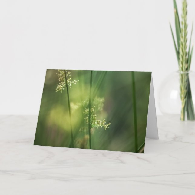 Cartão Green Floral Rush (Frente)