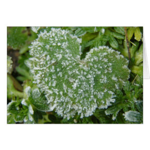 Cartão Green Icy Heart