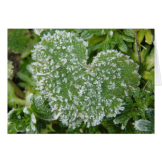 Cartão Green Icy Heart