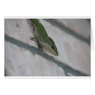 Cartão Green Lizard