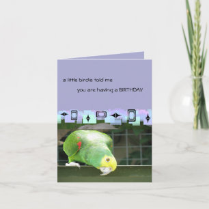 Cartão Green Parrot  Birthday Greetings