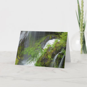 Cartão Green Waterfall Scenic