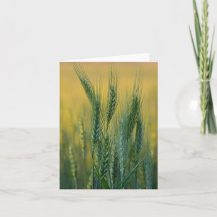 Cartão Green Wheat Note Card