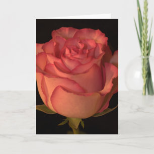 Cartão Greeting Card