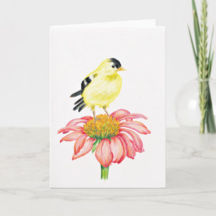 Cartão Greeting Card Goldfinch & Coneflower