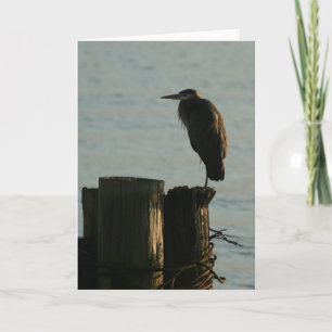 Cartão Greeting Card: Great Blue Heron