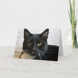 Cartão Greeting Card: Lilly