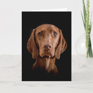 Cartão Greeting Card “Magyar Vizsla "