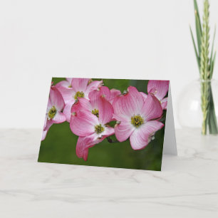 Cartão Greeting Card:  Pink Dogwood