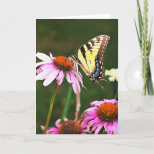 Cartão Greeting Card Tiger Swallowtail on Coneflower