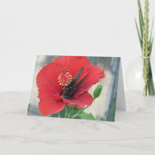 Cartão greeting card with butterfly on red flower
