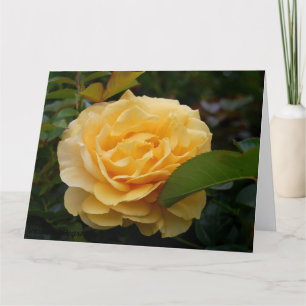 Cartão Greeting Card: Yellow Camellia