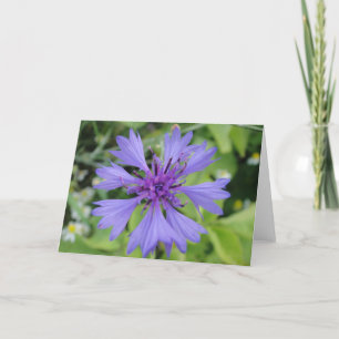 Cartão Greeting map blue cornflower, shapable in blank