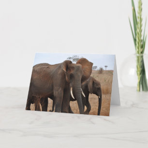 Cartão Greetings and Salutations