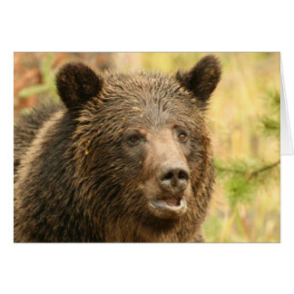 Cartão Grelha de pedra amarela