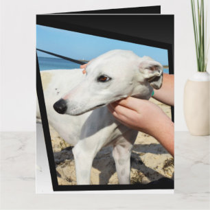 Cartão Greyhound Dimensions Big Greeting Card