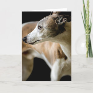 Cartão Greyhound Dog