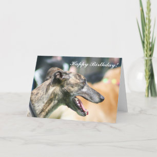 Cartão Greyhound Happy Birthday greeting card