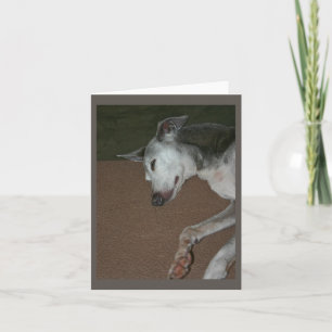 Cartão Greyhound Italiano nº 2