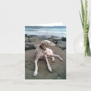 Cartão Greyhound Puppy Dog Blank Note Card