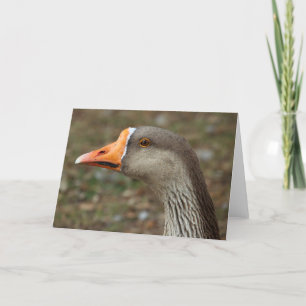 Cartão Greylag Swan Goose Cross