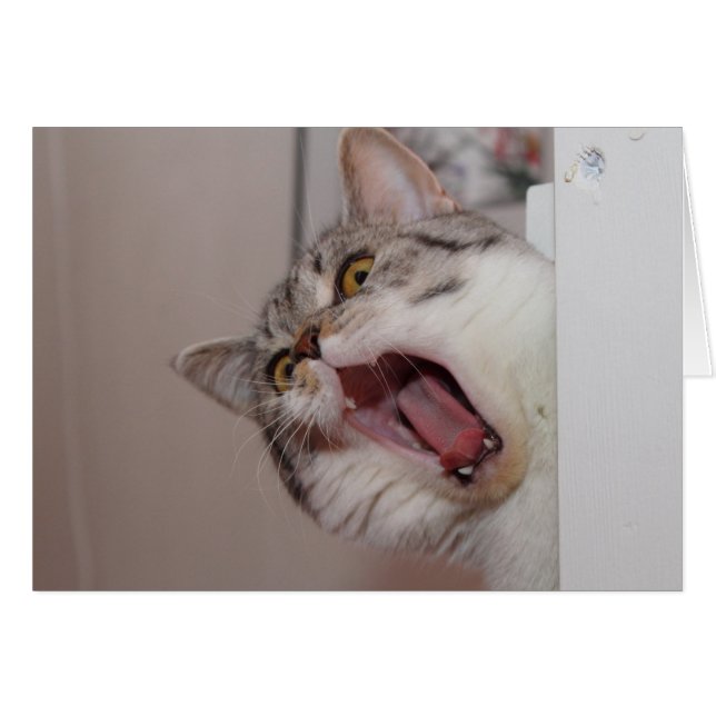 Cartão Gritando em British Shorthair (Frente Horizontal)