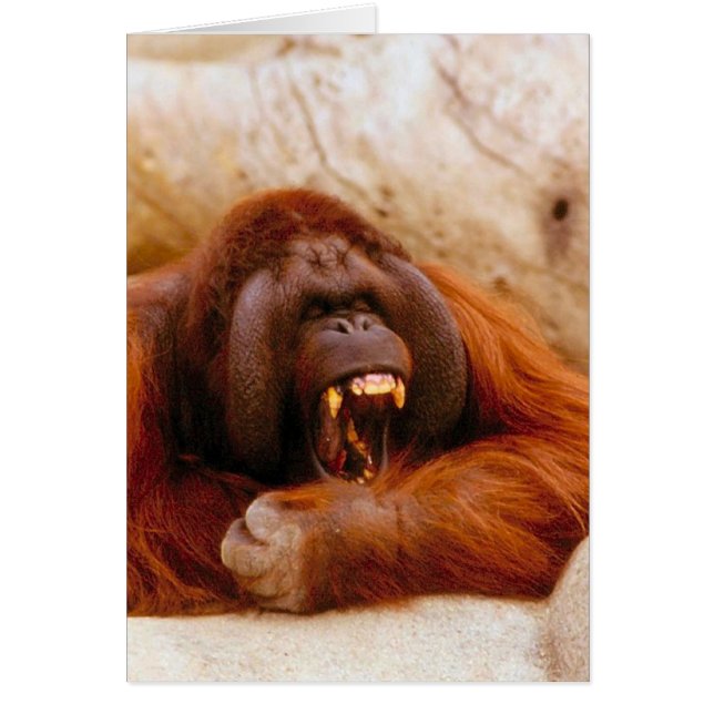 Cartão Gritar do macaco (Frente)