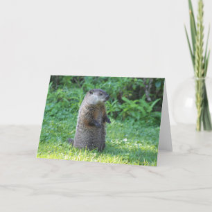 Cartão Ground Hog greeting card