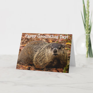 Cartão Groundhog