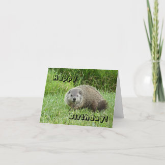 Cartão Groundhog do feliz aniversario