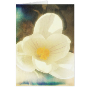Cartão Grunge da flor do açafrão