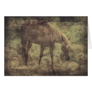 Cartão Grunge das memórias do cavalo