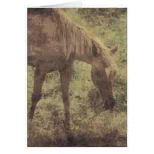 Cartão Grunge das memórias do cavalo