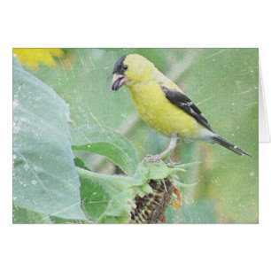 Cartão Grunge do Goldfinch