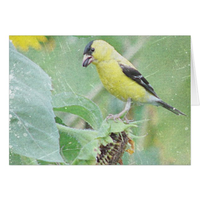 Cartão Grunge do Goldfinch (Frente Horizontal)